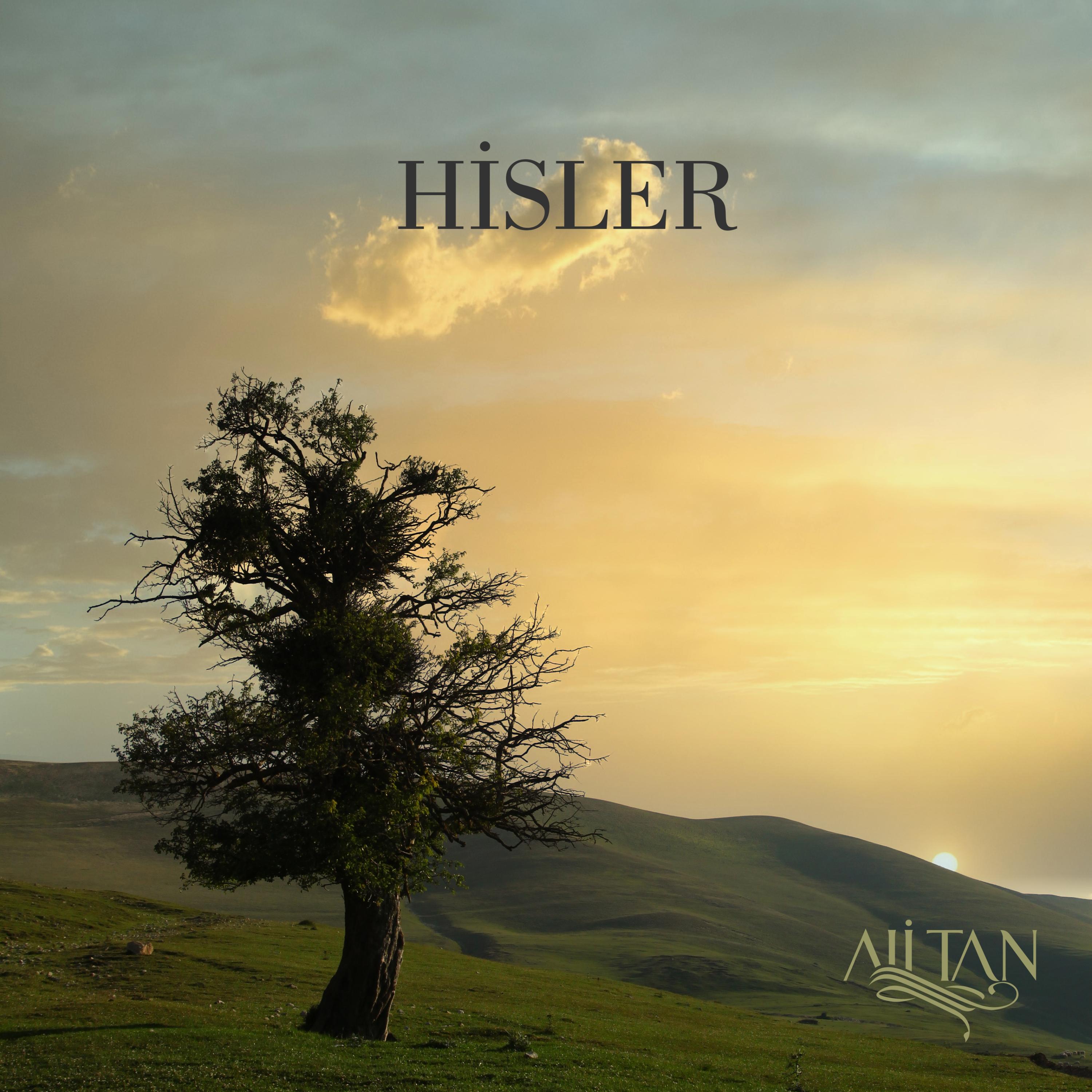 The Feelings-Hisler