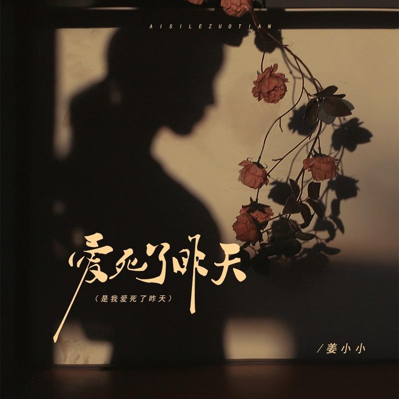 姜小小歌曲封面