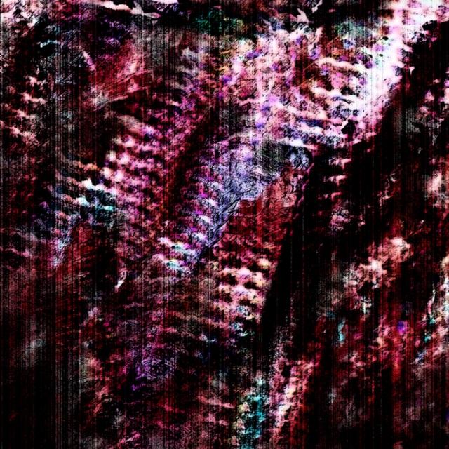 Scream for Help