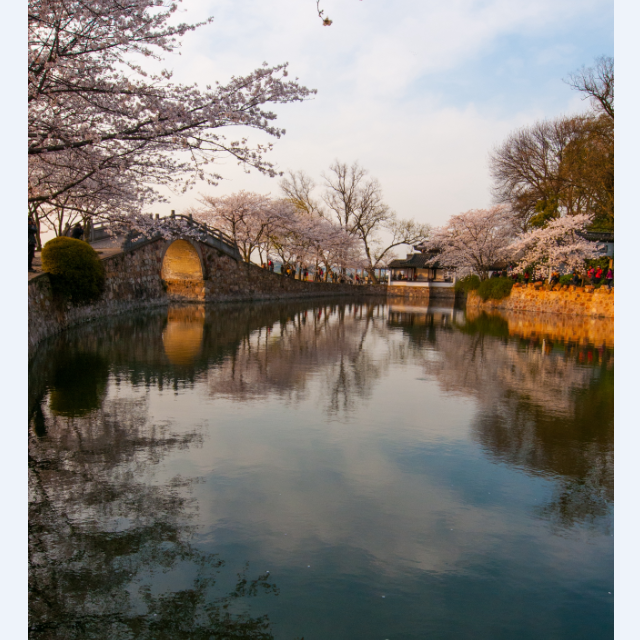 日久生情 [词：稗子]（Cover 邓丽欣）