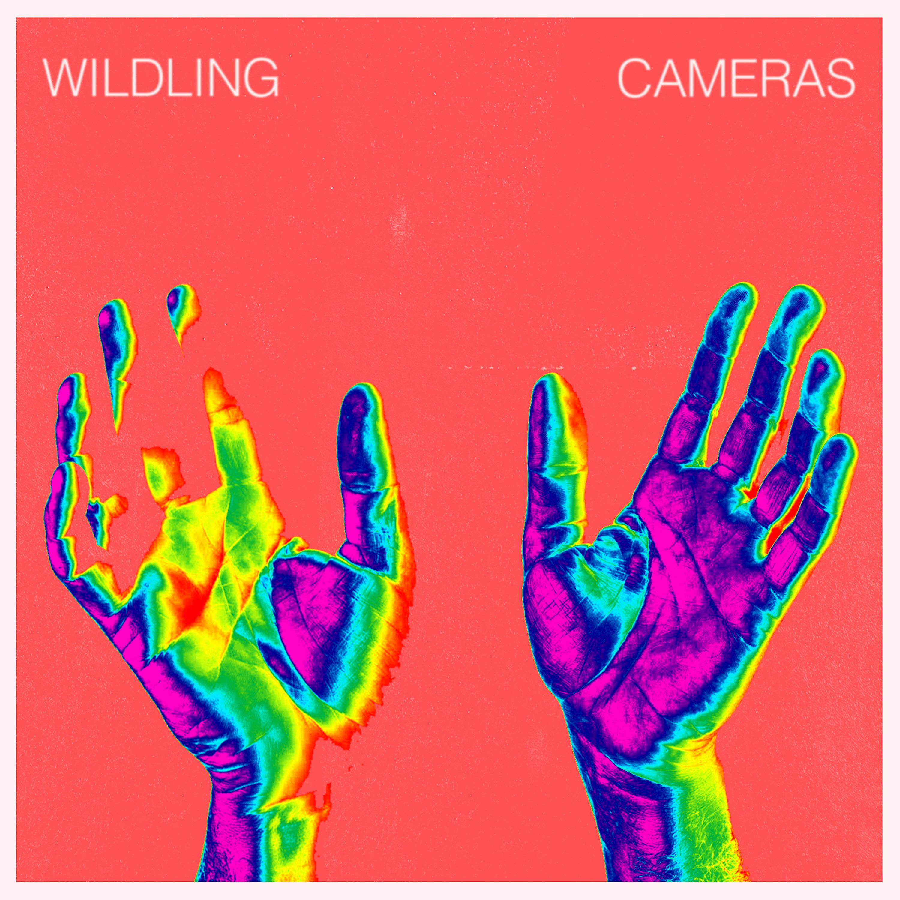 Cameras
