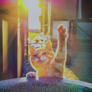 笑一个吧，总有一首歌能将你治愈