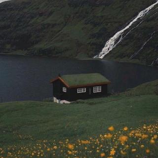 脫俗纯音||淨化亂杂