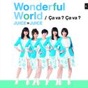 Wonderful World/Ca va ? Ca va ? (サヴァ サヴァ)专辑