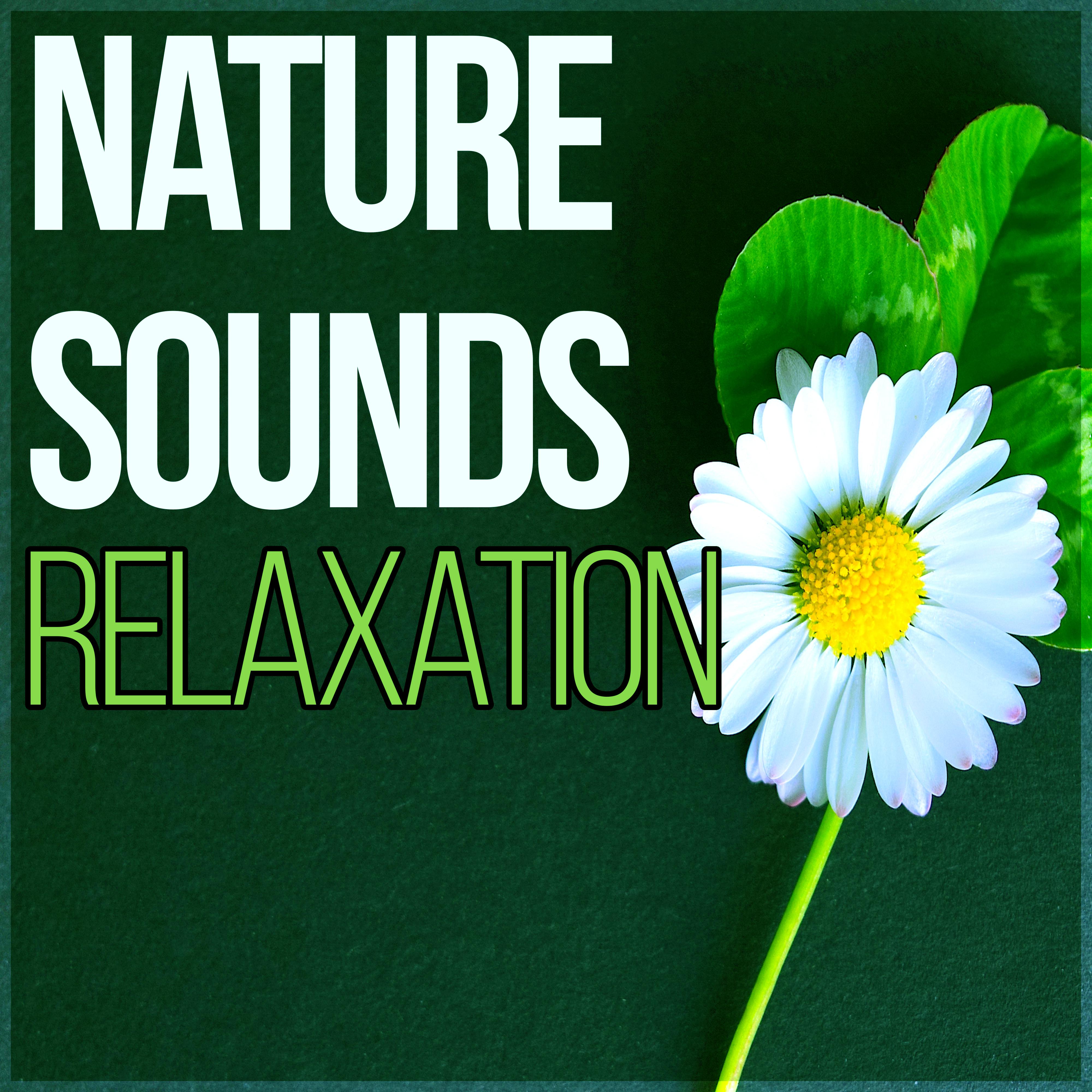 Hypnosis Nature Sounds Universe - Nature Sounds Relaxation