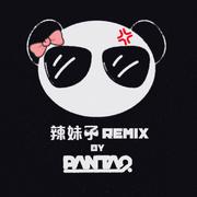 辣妹子 Dubstep Remix