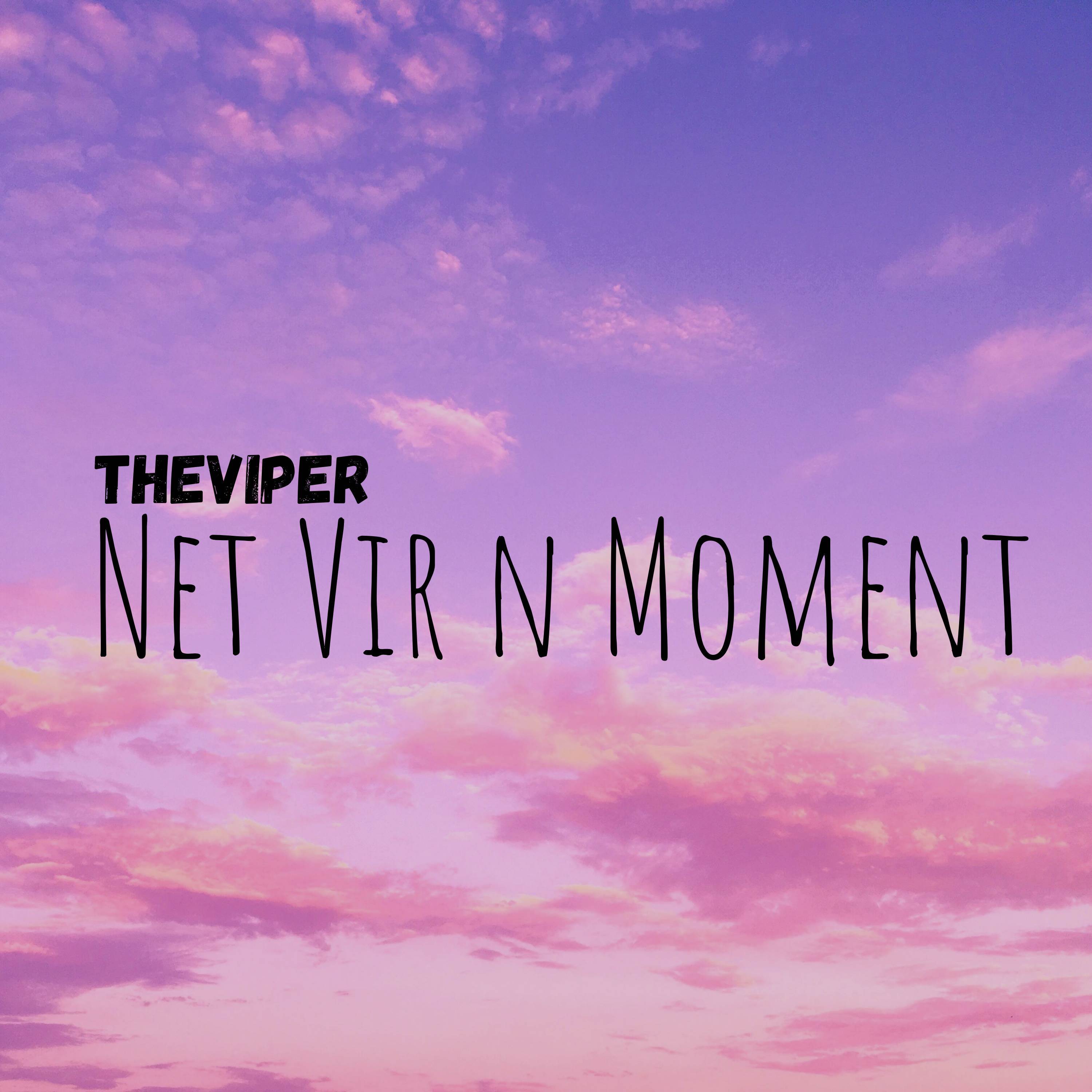Net Vir N Moment