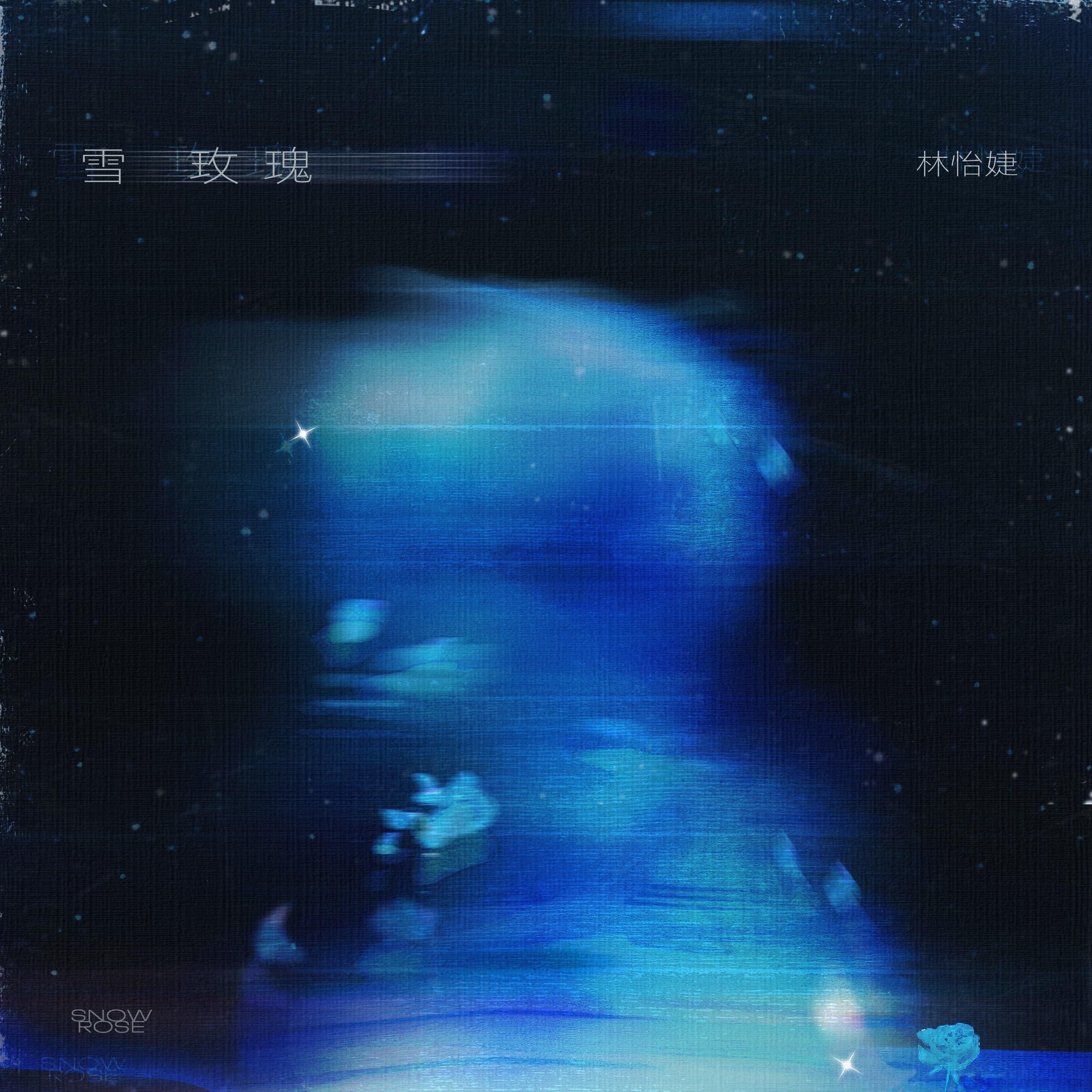 雪玫瑰