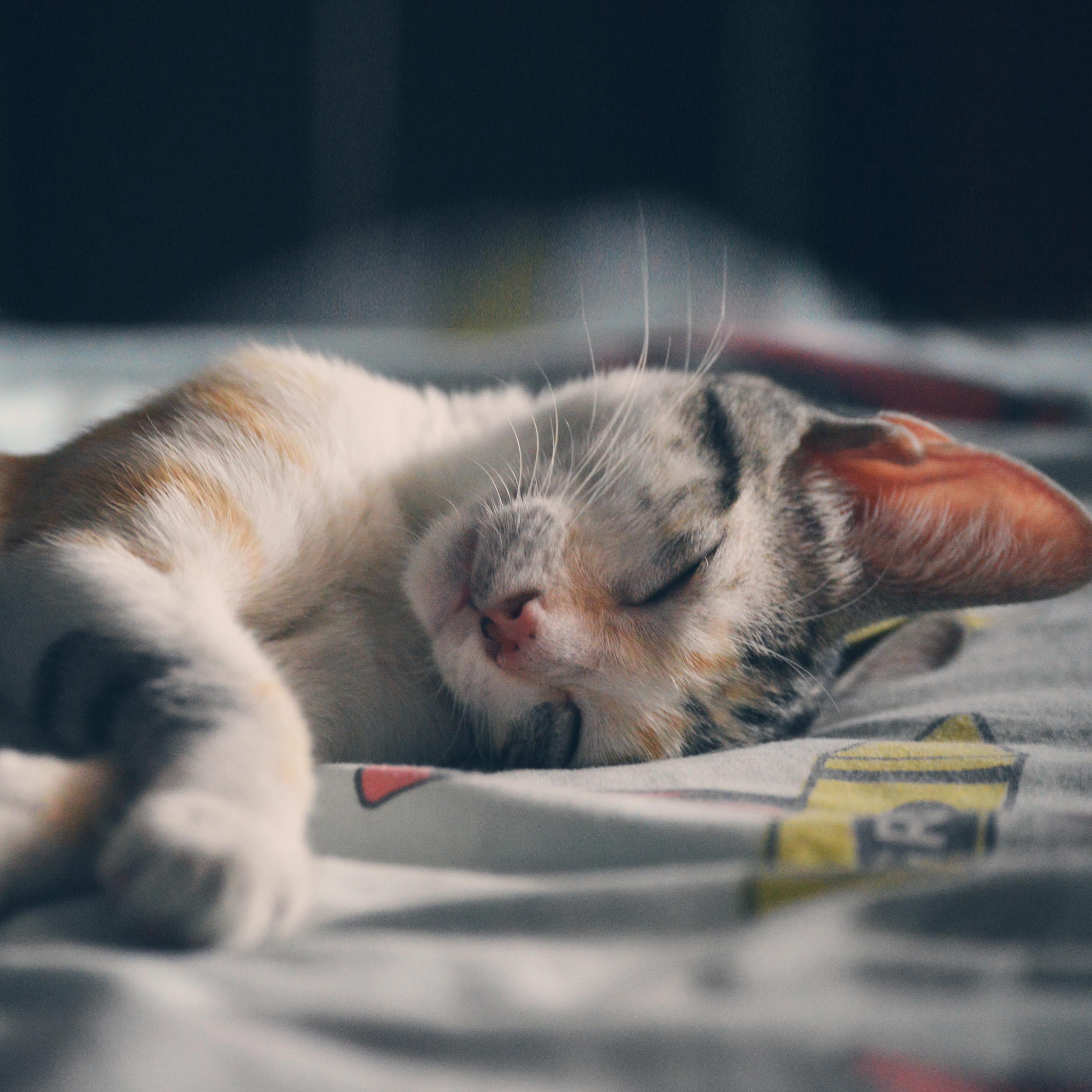 40 Peaceful Songs for Deep Sleep and Relaxation