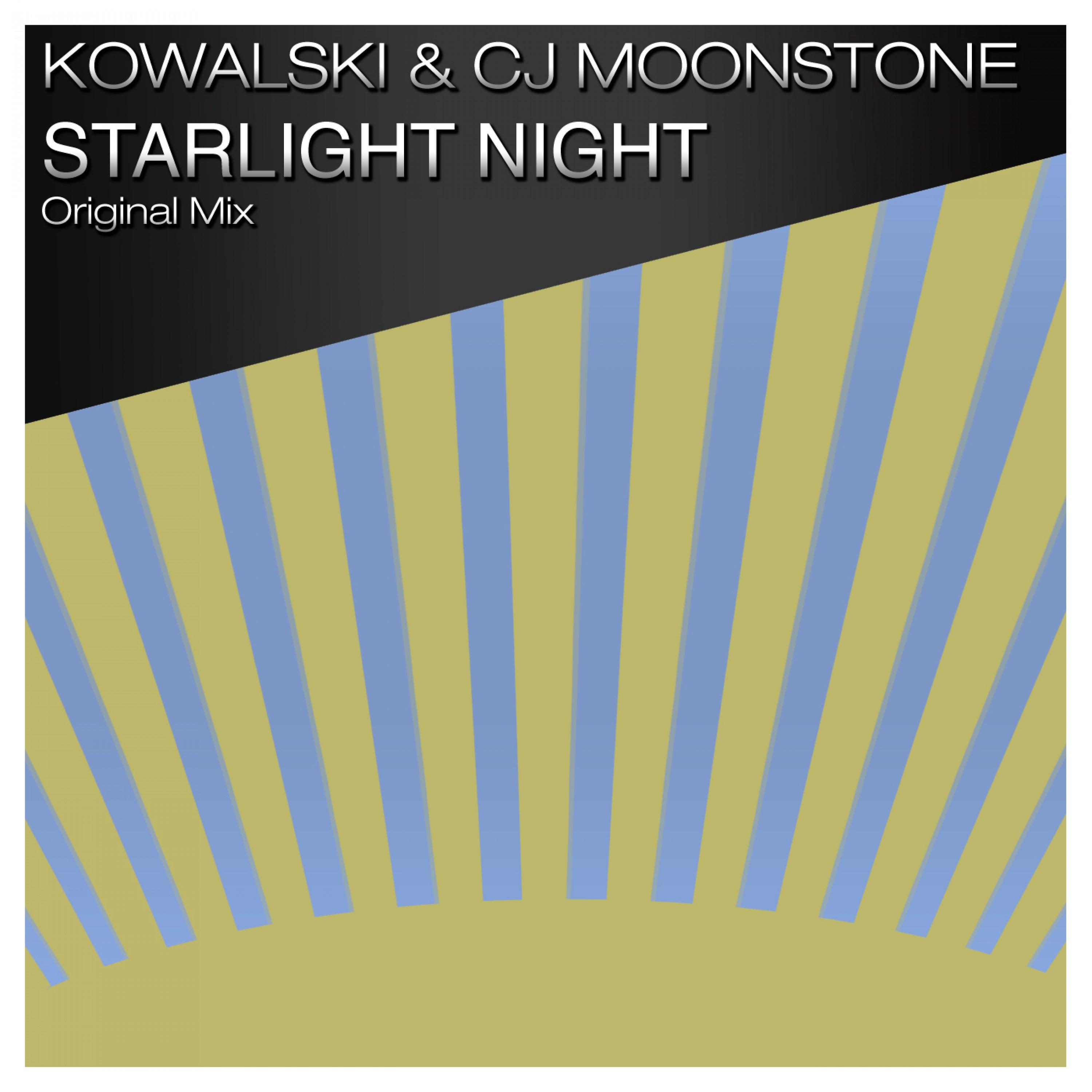 Starlight Night
