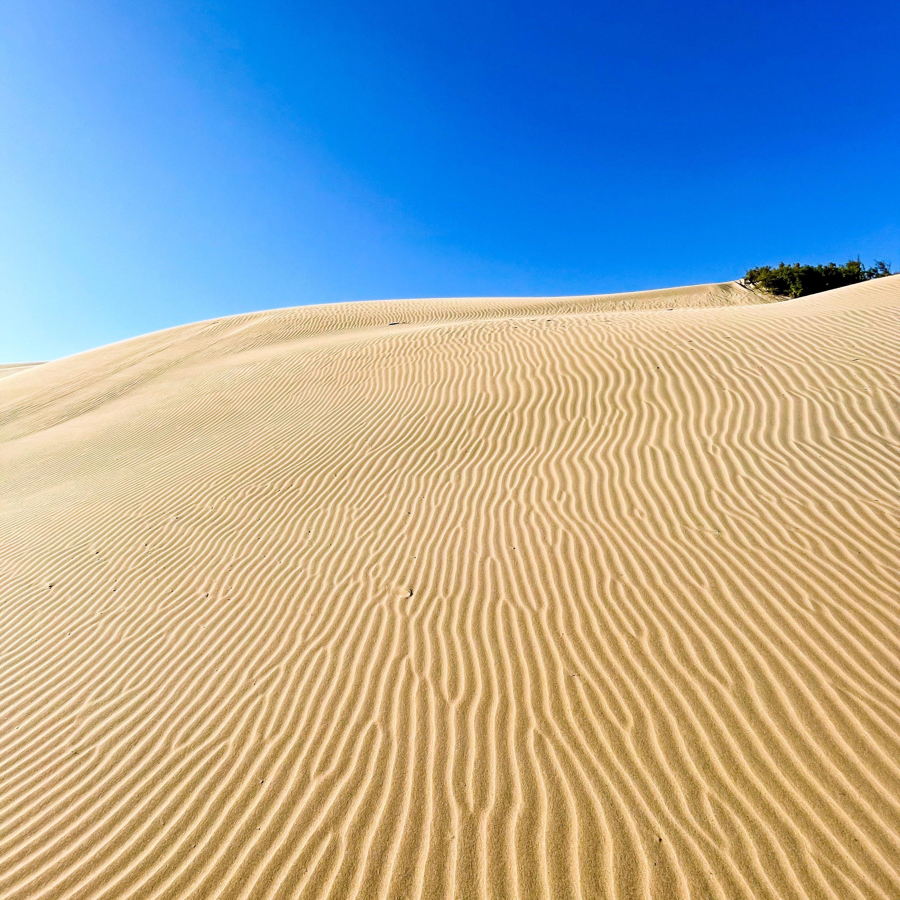 我怀念的是无话不说(0_8倍速版)