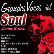 Grandes Voces del Soul: James Brown