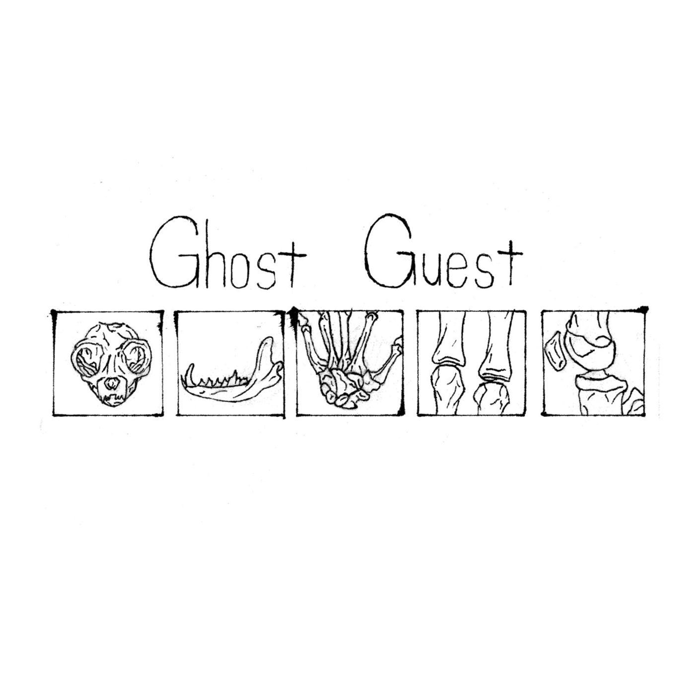 Ghost Guest