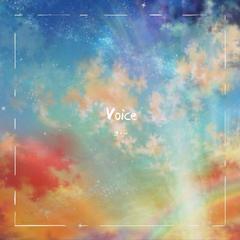 Voice (Original Mix)