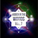 Hidden In The Woods Vol.7