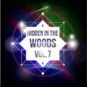 Hidden In The Woods Vol.7专辑