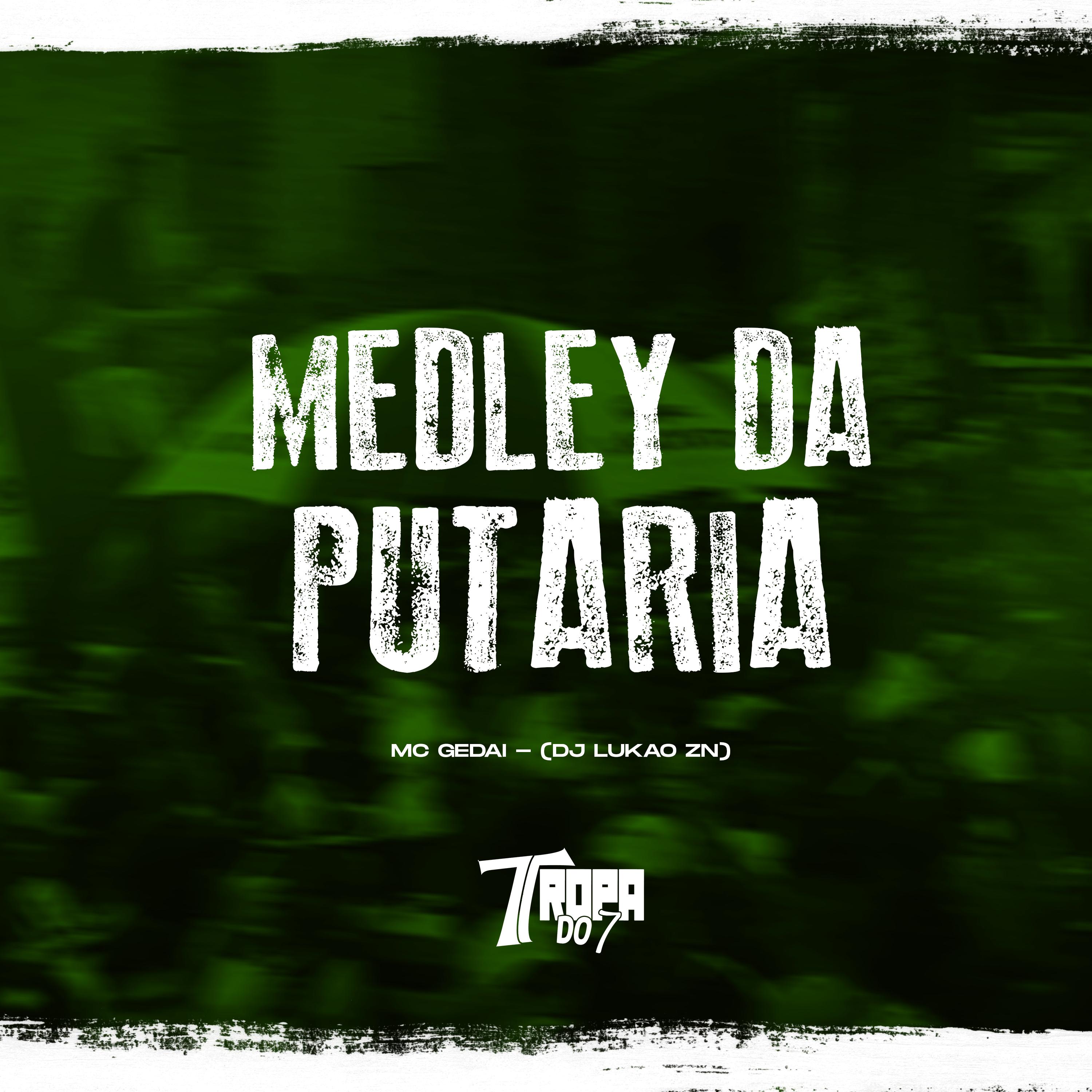 Medley da putaria