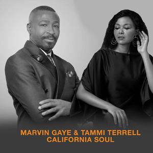 Marvin Gaye & Tammi Terrell - If I Could Build My Whole World Around You (Karaoke Version) 带和声伴奏 （降3半音）