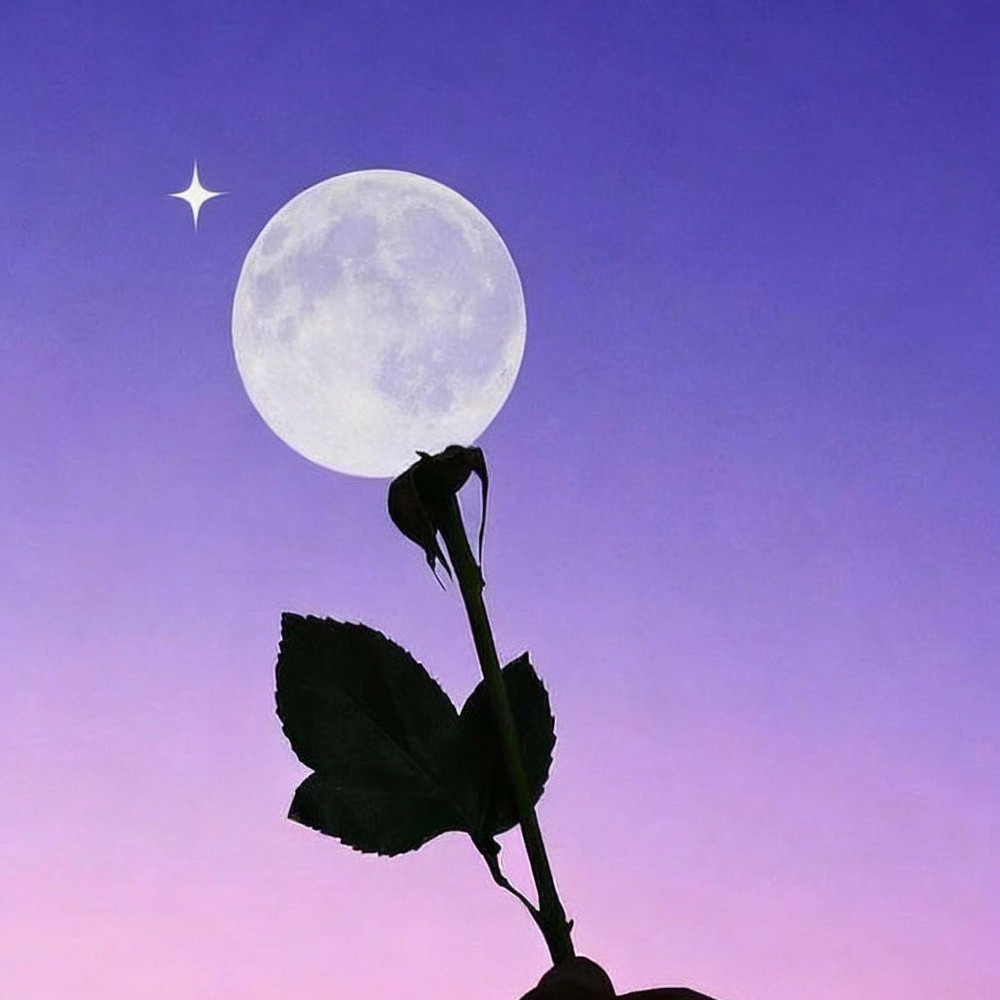 人间失格（R&B氛围版）