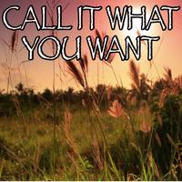 Taylor Swift - Call It What You Want(官方伴奏)