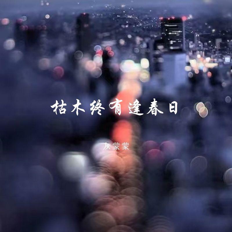 我不会再原谅你了