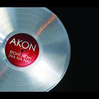 Akon - Never Took The Time (Instrumental) 原版无和声伴奏
