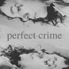 MJ Rodriguez - perfect crime