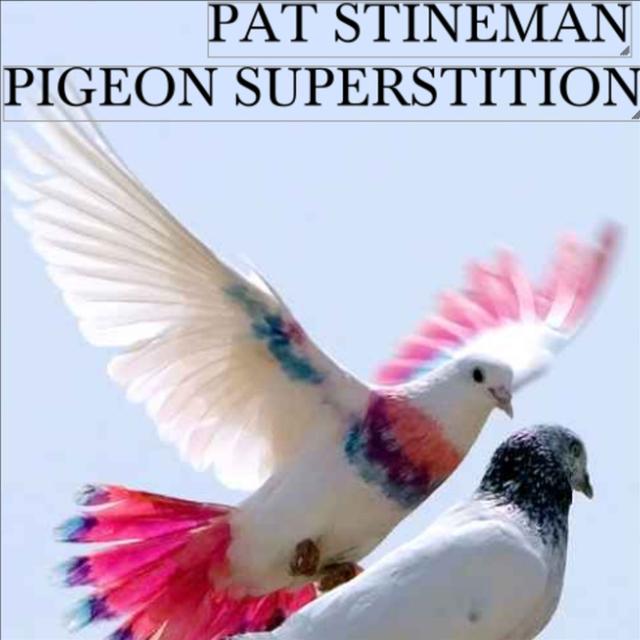 Pigeon Superstition