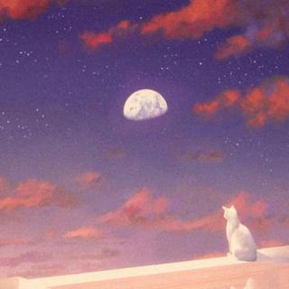 原来自己才是多余的那个人