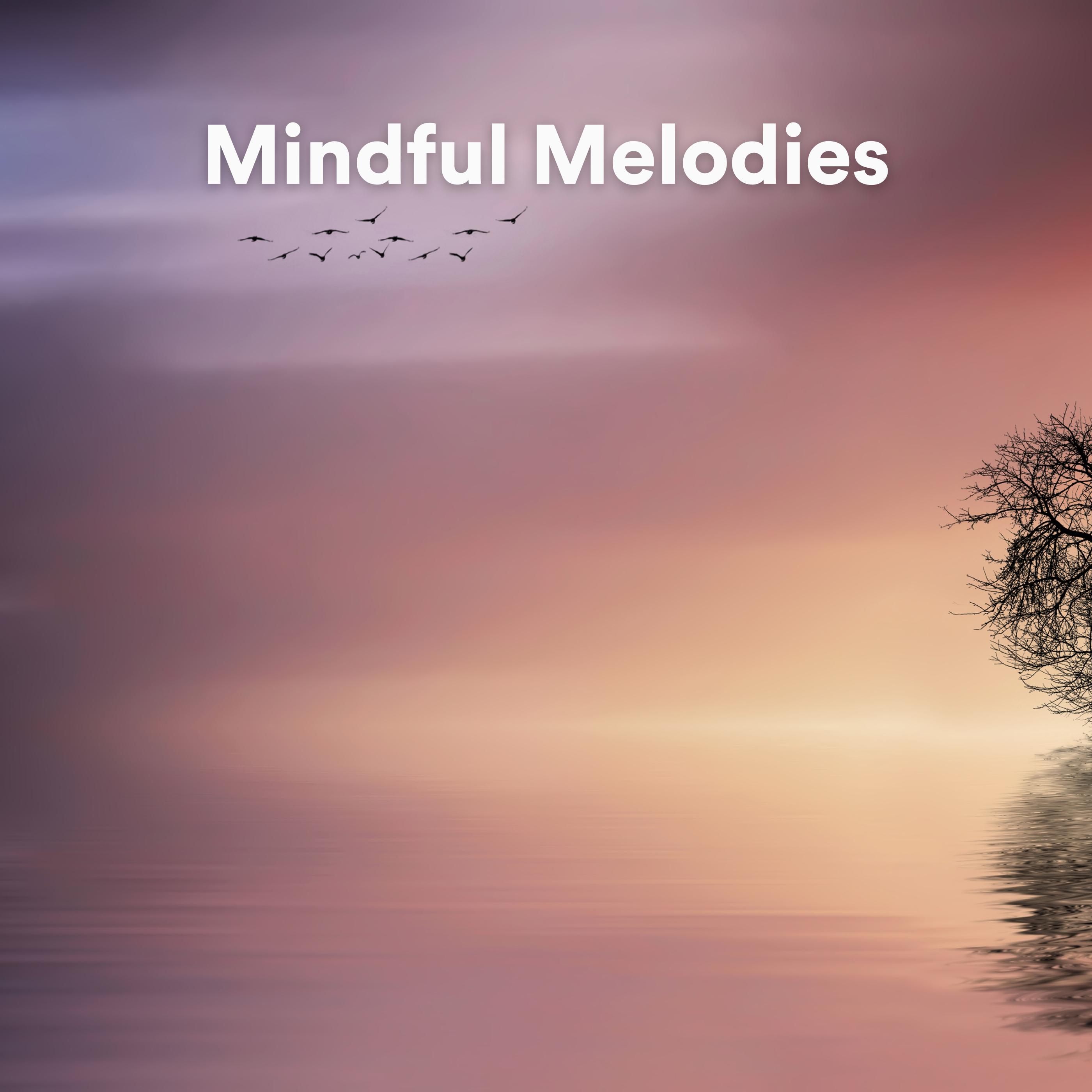 Calm Vibes - Celestial Melodies (Relaxing Piano Melodies)