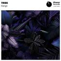 Tribe(Original Mix)专辑