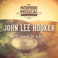 Les Idoles Du Blues: John Lee Hooker, Vol. 4