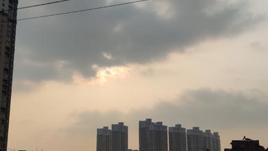 叶