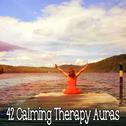 42 Calming Therapy Auras专辑