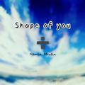 Shape of you(Remix)