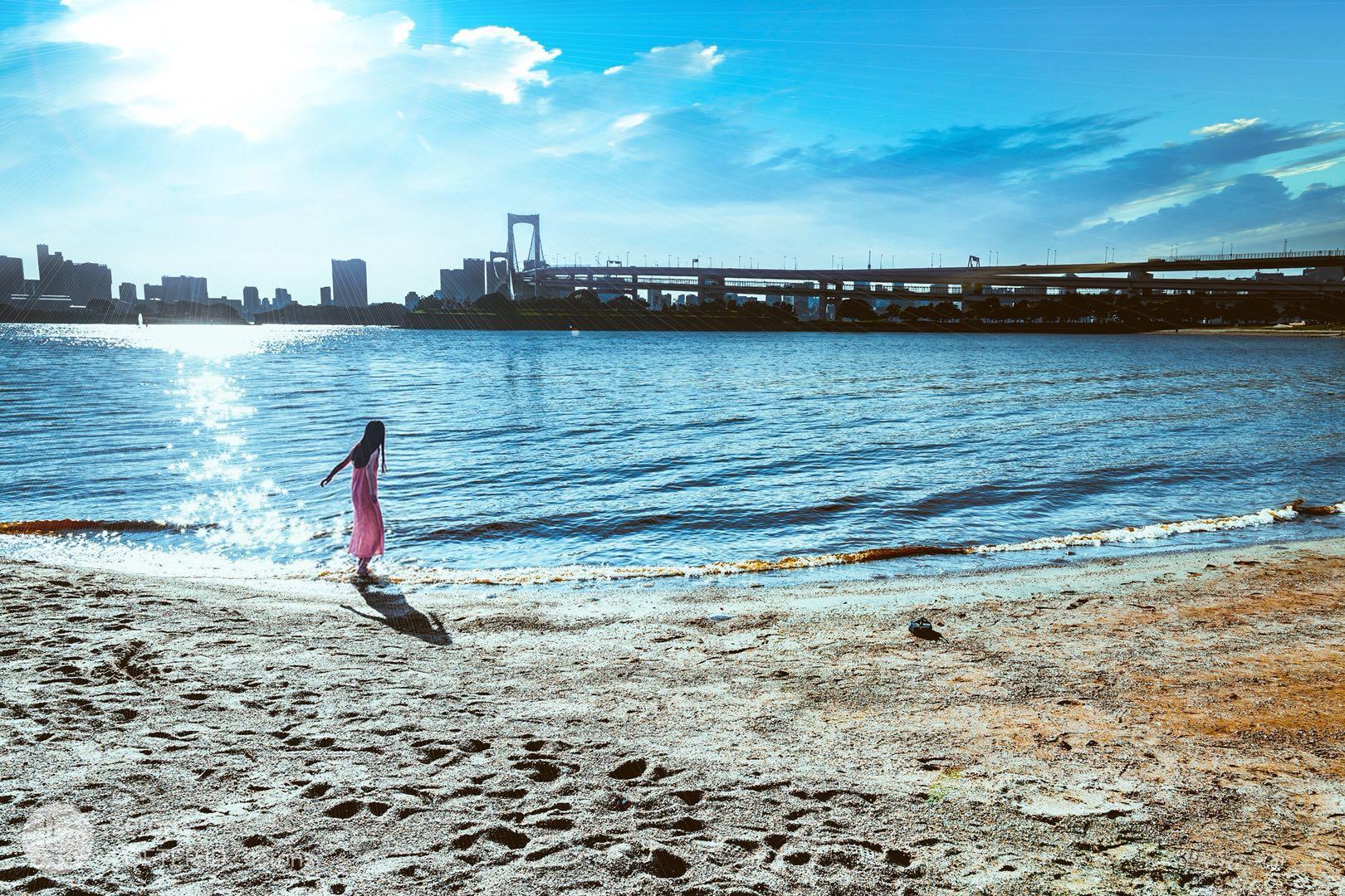 那年夏天宁静的海专辑