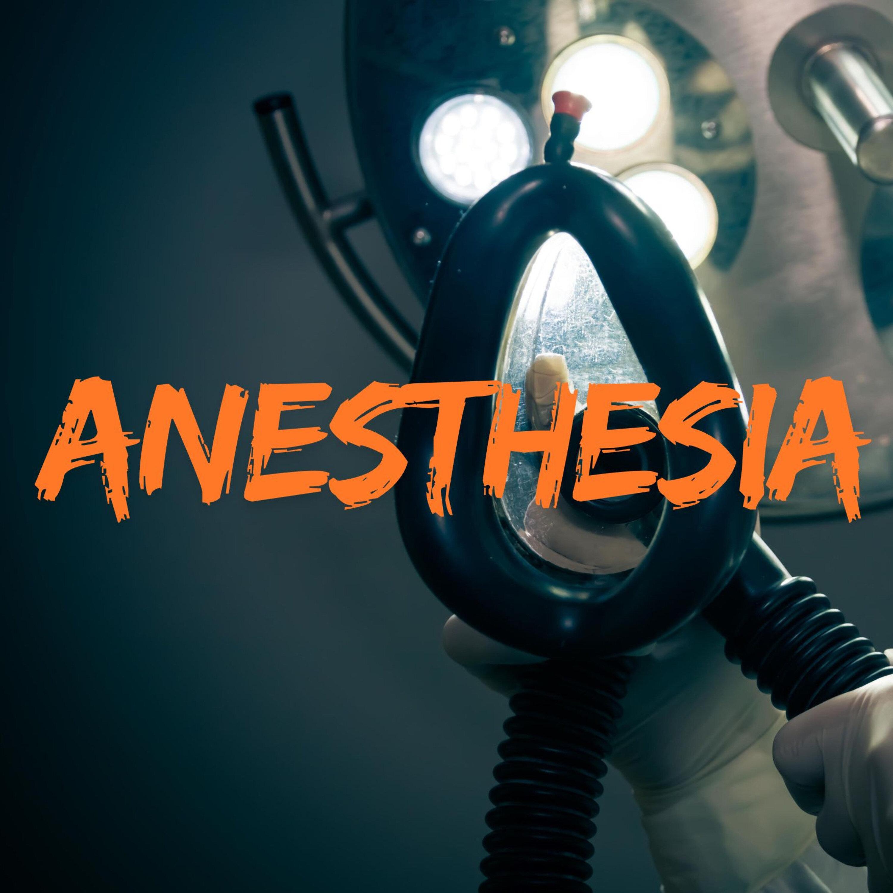 America Is Turtle Island