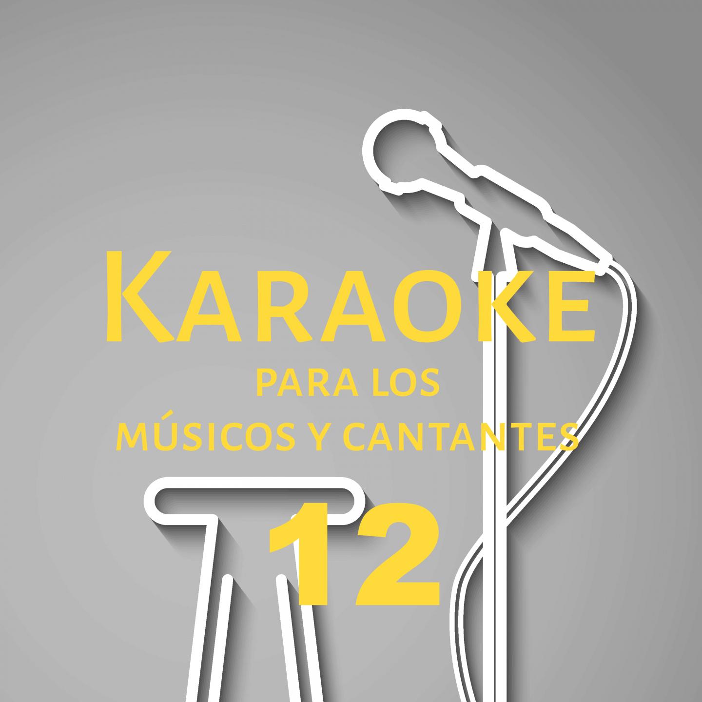 Karaoke para los músicos y cantantes, Vol. 12专辑