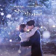 당신이 잠든 사이에 OST