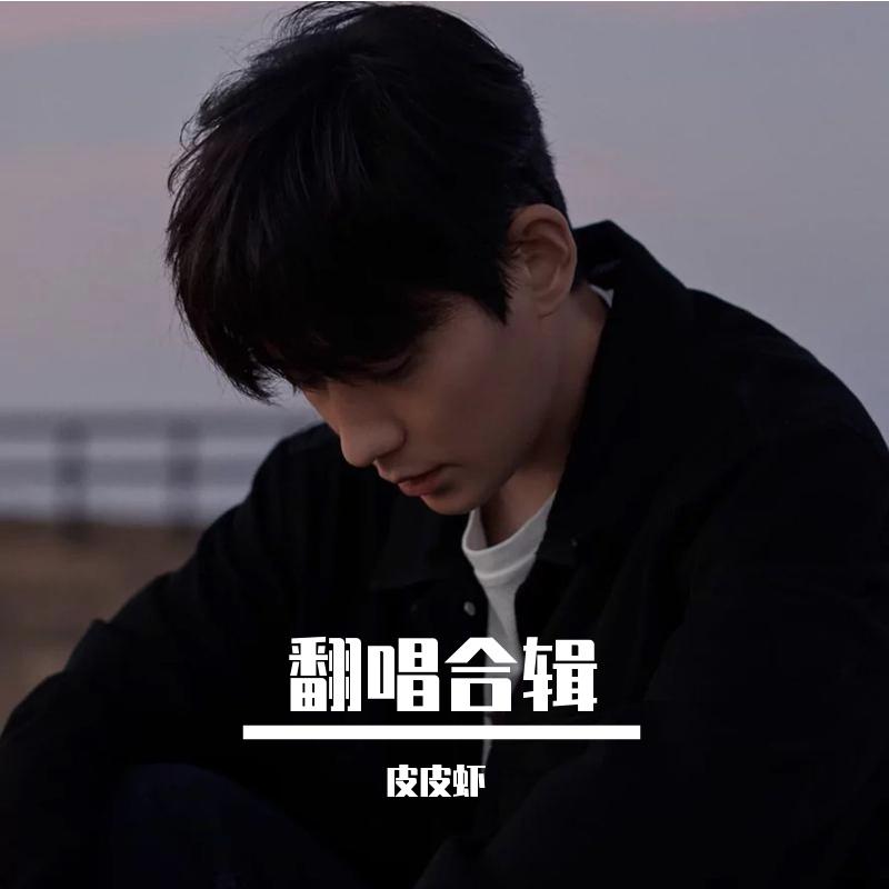 皮皮虾歌曲封面