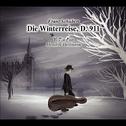 Franz Schubert: Die Winterreise, D. 911 (Cello Version)专辑