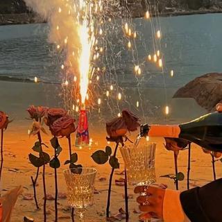 夏夜晚风｜生为冰山，就该淡淡地爱海流