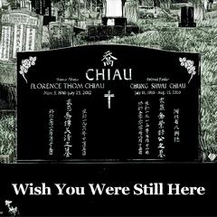 Wish You Were Still Here (Original)