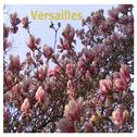 Versailles专辑