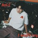 I won't cry专辑