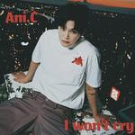 I won't cry专辑