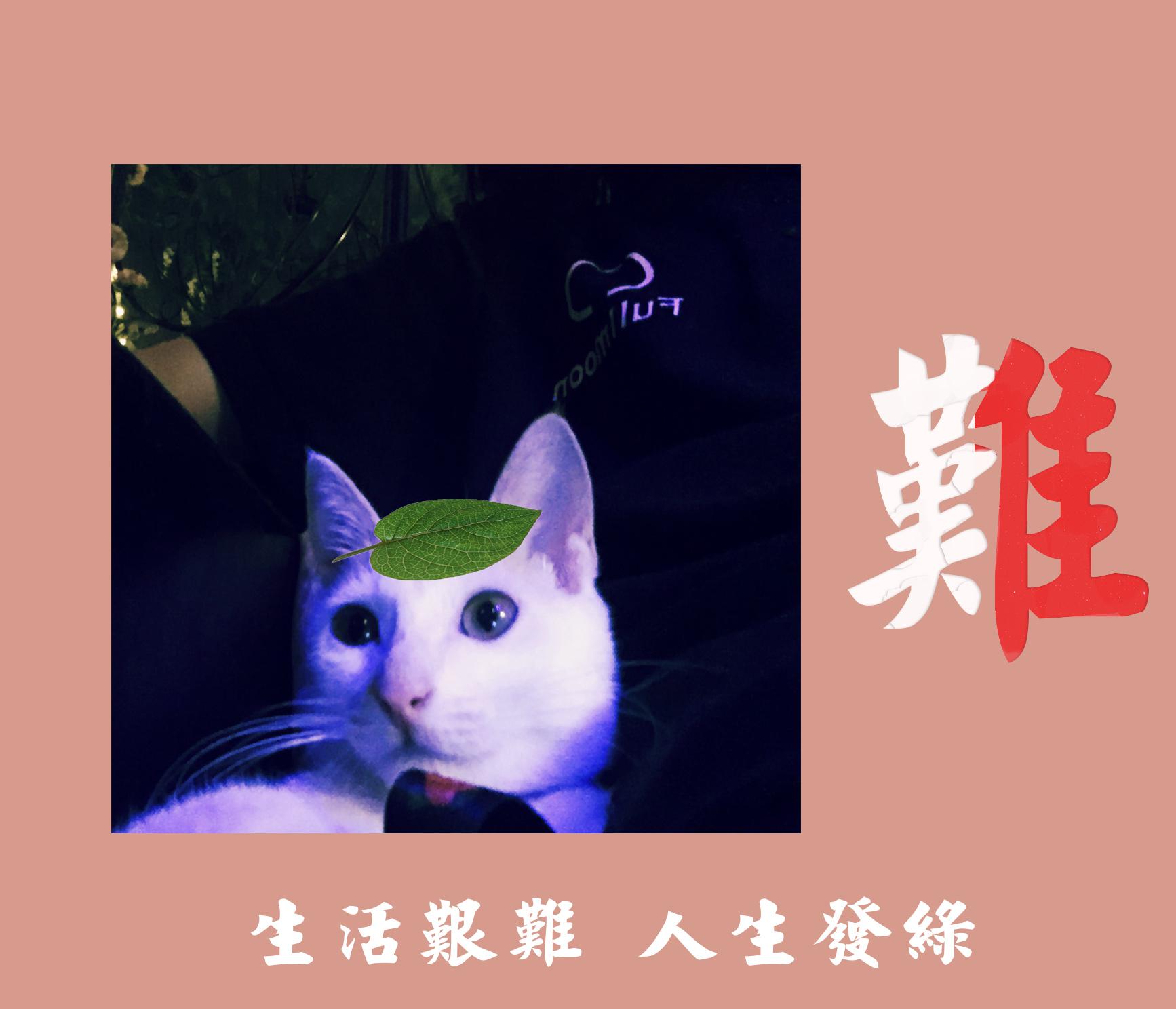 难专辑