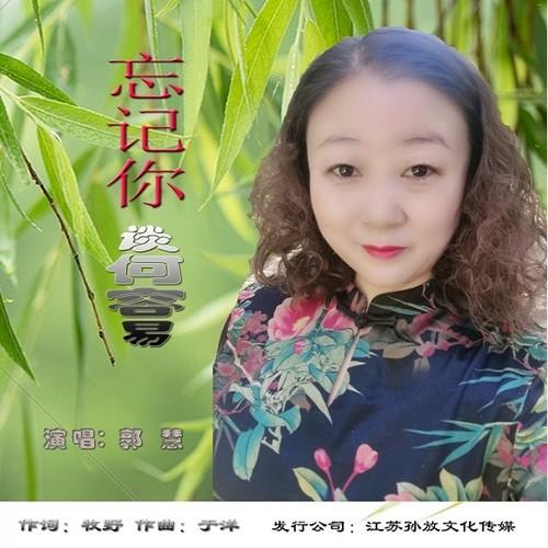 忘记你谈何容易 (伴奏)