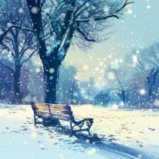 尔滨的雪 (MV版)