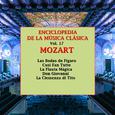 Enciclopedia de la Música Clásica Vol.17